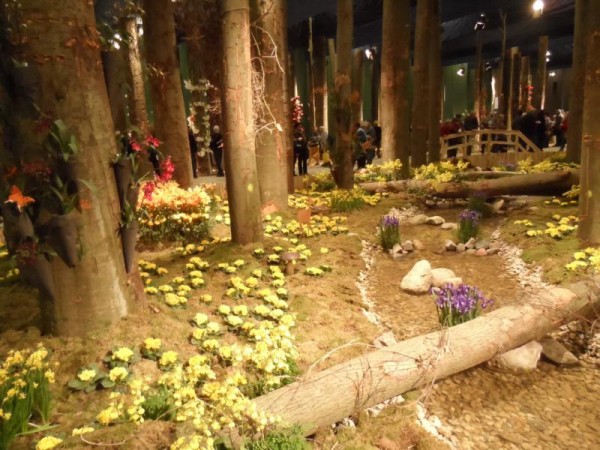 Berlin Grüne Woche 11