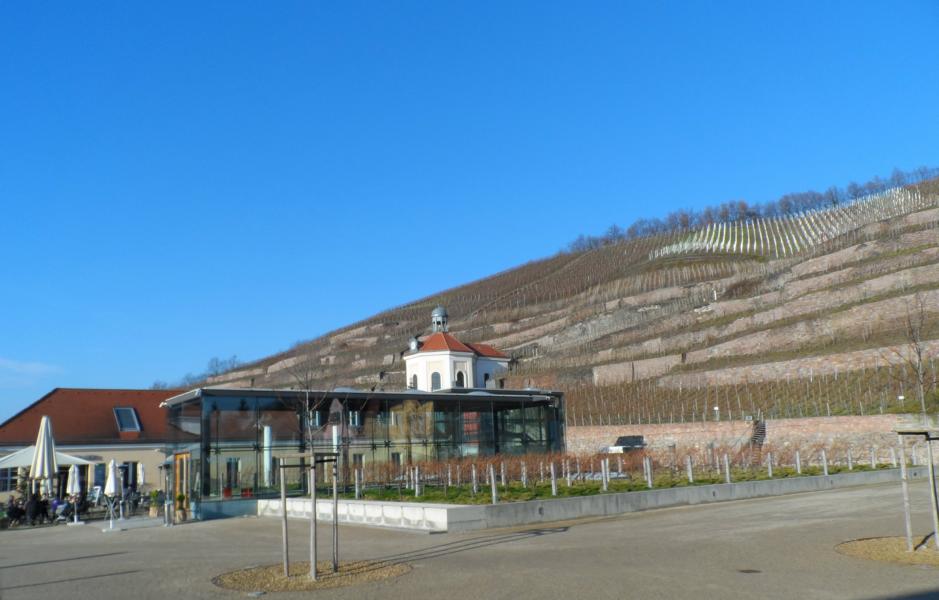 Schloss Wackerbarth Weinberg Schloss Wackerbarth Weinberg